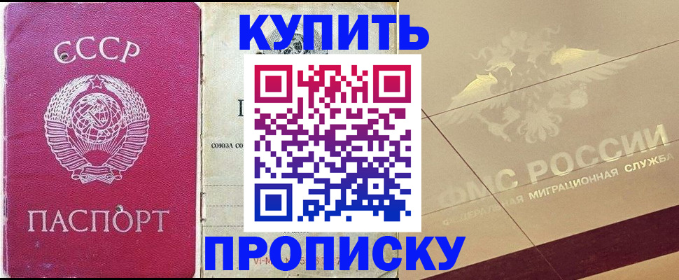 прописка для школы в Ершове